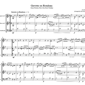 Gavotte en Rondeau from Partita No.6 for Violin Solo - J.S.Bach