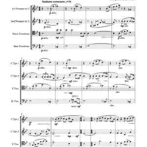 "Nessun Dorma" from Turandot - G.Puccini