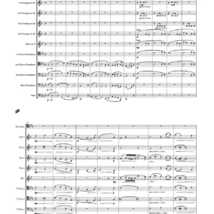 Concertino for Solo Trombone Op.4 (1837) with 10-piece Brass Ensemble accompaniment - Ferdinand David. Cadenza by Lars Karlin
