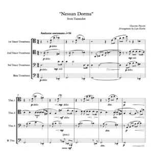 ”Nessun Dorma” from Turandot - G.Puccini