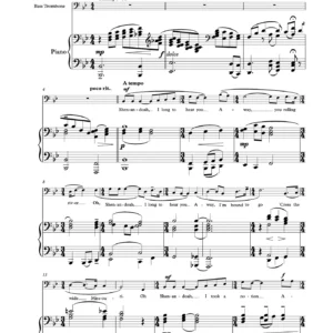 “Three Negro Spirituals” for Bass trombone (or Tuba) and Piano